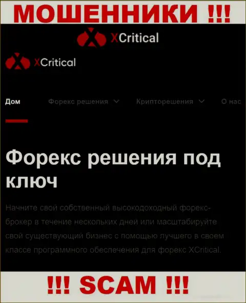XCritical - это подозрительная компания, вид деятельности которой - ФОРЕКС