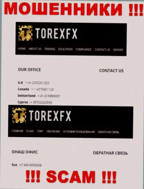 В запасе у интернет мошенников из TorexFX есть не один номер