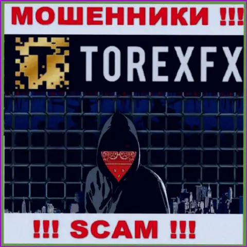 Torex FX не разглашают инфу о руководителях конторы