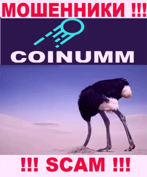 Компания Coinumm не имеет регулятора и лицензионного документа на осуществление деятельности