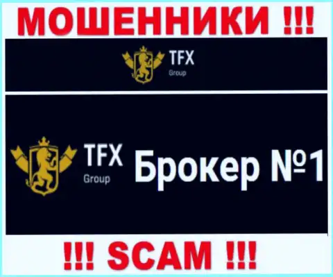 Не советуем доверять вложения TFX Group, ведь их сфера деятельности, Forex, капкан