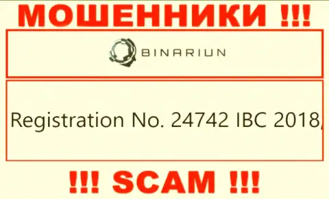 Регистрационный номер компании Binariun Net, которую лучше обходить десятой дорогой: 24742 IBC 2018