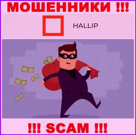 Связавшись с дилинговой компанией Hallip Com Вы не увидите ни рубля - не перечисляйте дополнительные финансовые средства