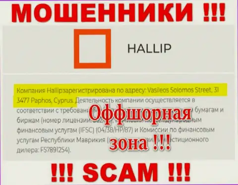 Старайтесь держаться подальше от оффшорных internet мошенников Hallip !!! Их адрес - Vasileos Solomos Street, 31 3477 Paphos, Cyprus