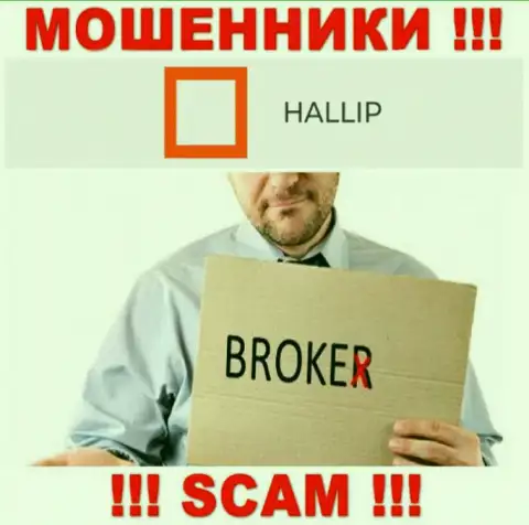 Вид деятельности internet-воров Халлип Ком - это Broker, но знайте это обман !