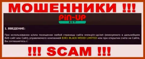 Юридическое лицо организации PinUpBet - это B.W.I. BLACK-WOOD LIMITED, информация позаимствована с официального сайта