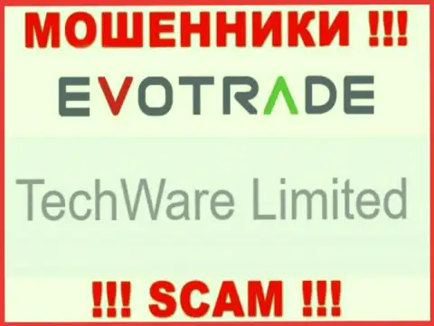 Юридическим лицом ЕвоТрейд Ком считается - TechWare Limited