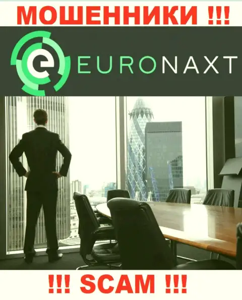 EuroNaxt Com - это АФЕРИСТЫ !!! Инфа о руководстве отсутствует