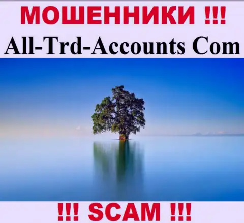 All-Trd-Accounts Com отжимают деньги и остаются без наказания - они спрятали инфу о юрисдикции