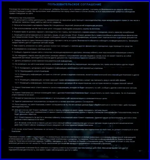 Пользовательское соглашение Zineera, опубликованное на веб-портале дилера