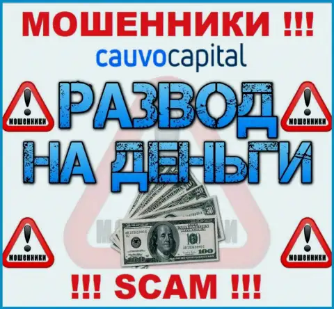 Даже не думайте, что с организацией CauvoCapital Com можно приумножить прибыль, Вас обманывают