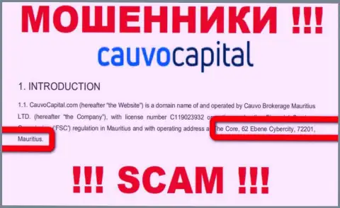 Невозможно забрать назад вклады у Cauvo Capital - они прячутся в офшорной зоне по адресу - The Core, 62 Ebene Cybercity, 72201, Mauritius