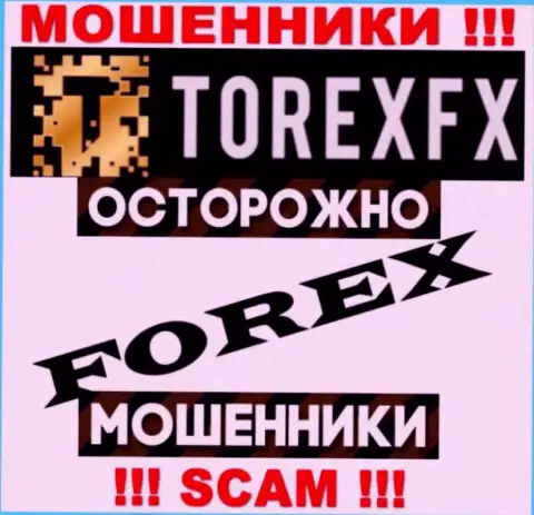 Род деятельности ТорексФХ Ком: Forex - отличный заработок для internet мошенников